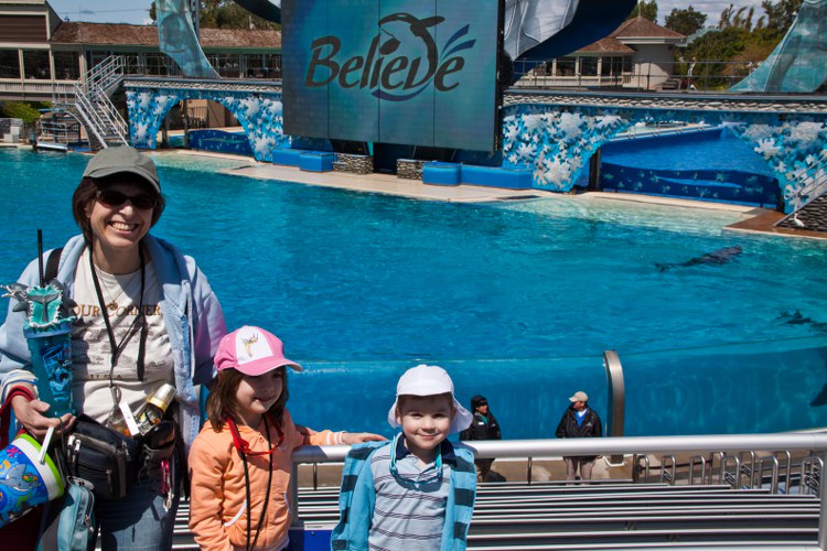 Seaworld: The great Shamu-Show