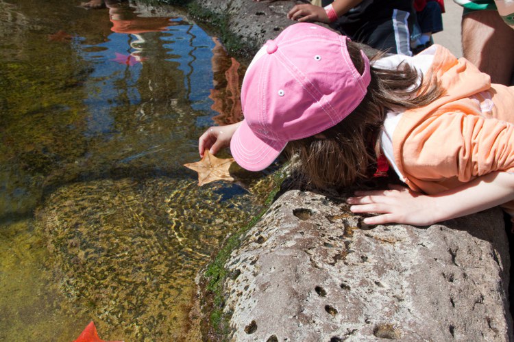 Seesterne anfassen erlaubt